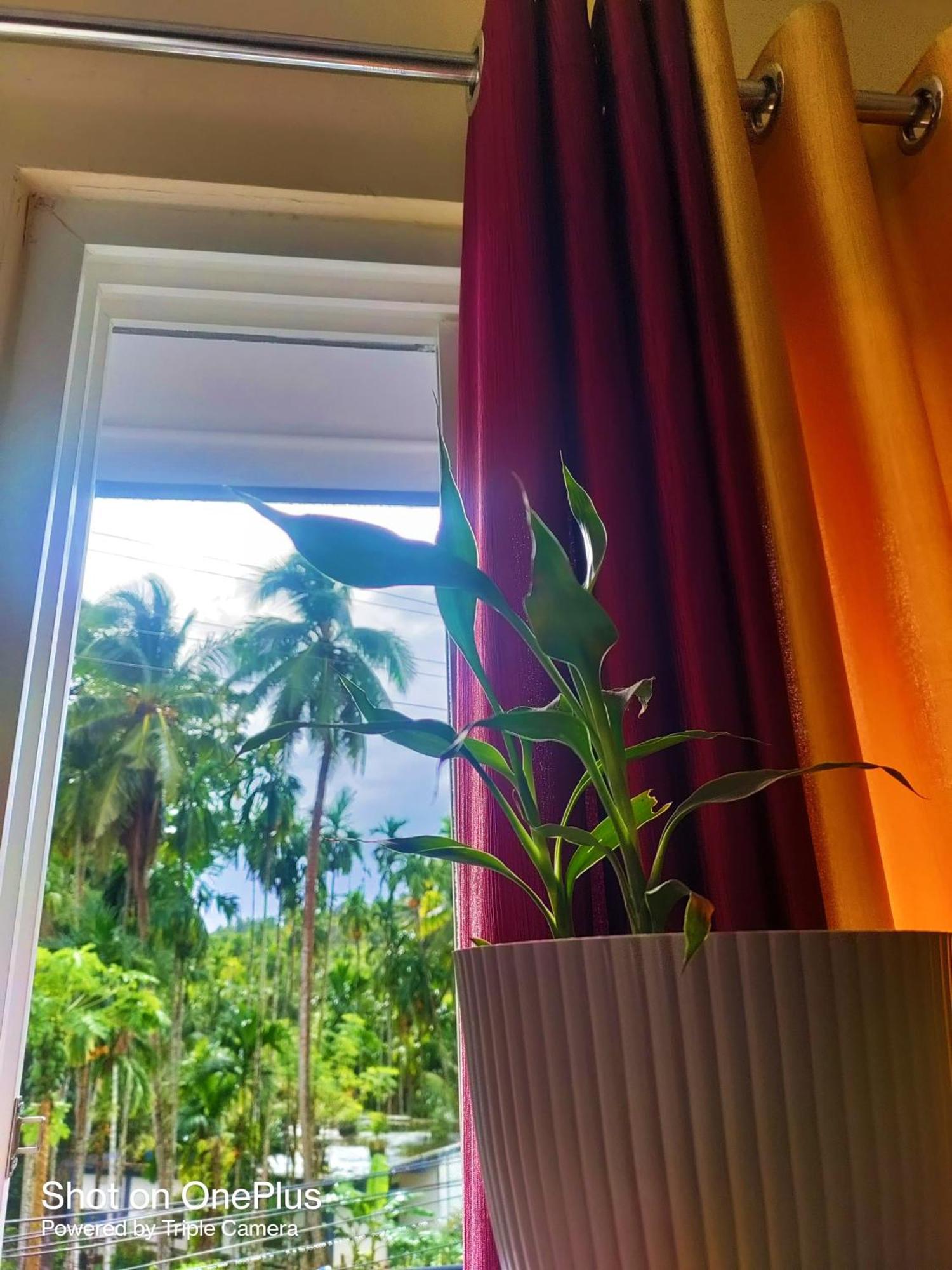 Hilton Garden Homestay Порт Блеър Екстериор снимка